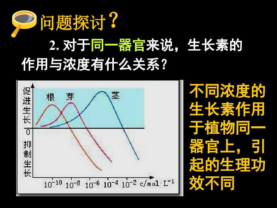 32生长素的生理作用_第4页