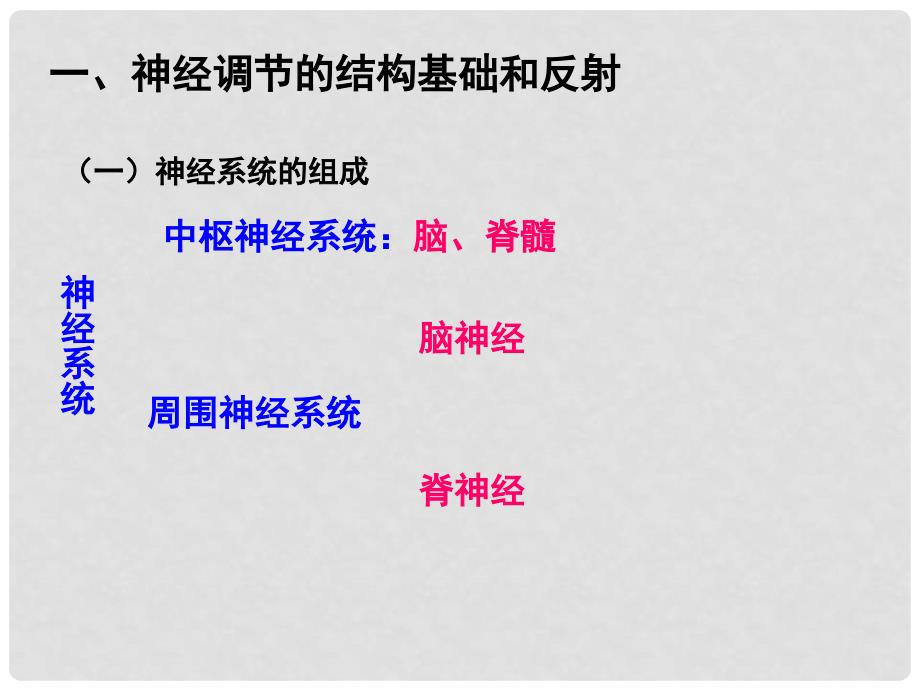 江苏省宿迁市马陵中学高考生物专题复习 通过神经系统的调节课件_第3页