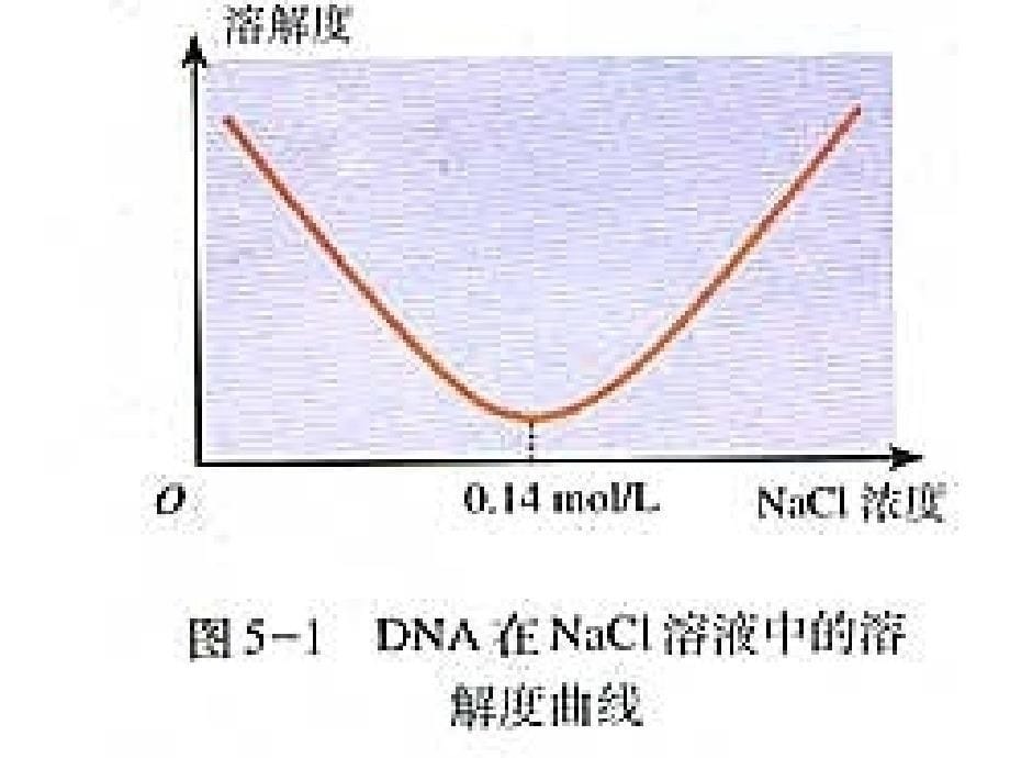 DNA的粗提取和鉴定(1)_第5页