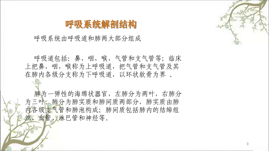 呼吸道疾病陆铭课件_第3页