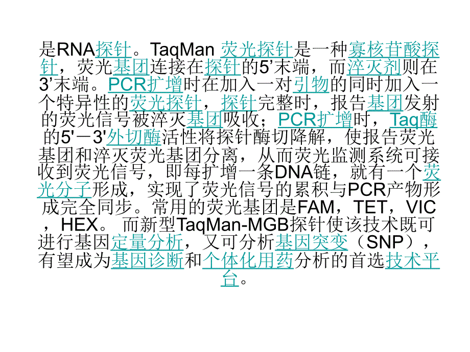 《aqman探针原理》PPT课件_第1页