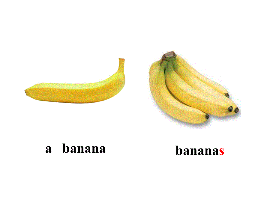 人教版英语七上课件Unit6DoyoulikebananasSectionA1a2c共29张PPT_第2页