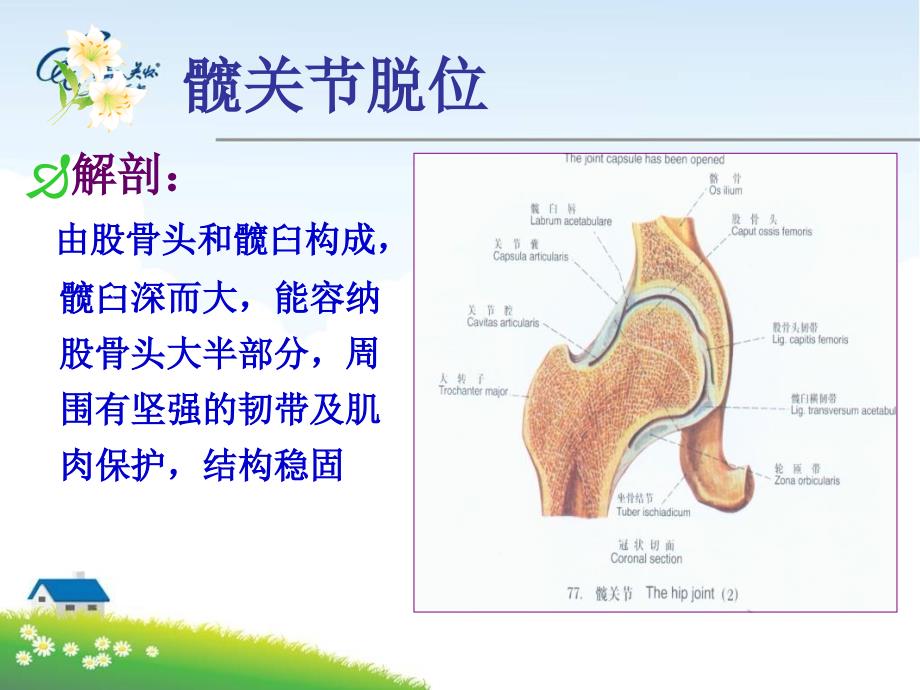 髋关节脱位护理_第3页