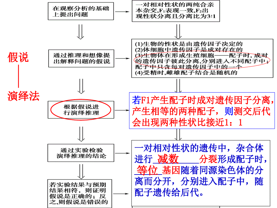 分离定律的应用_第2页