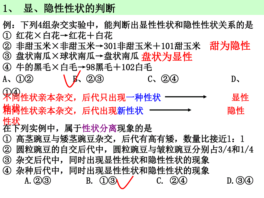 分离定律的应用_第3页