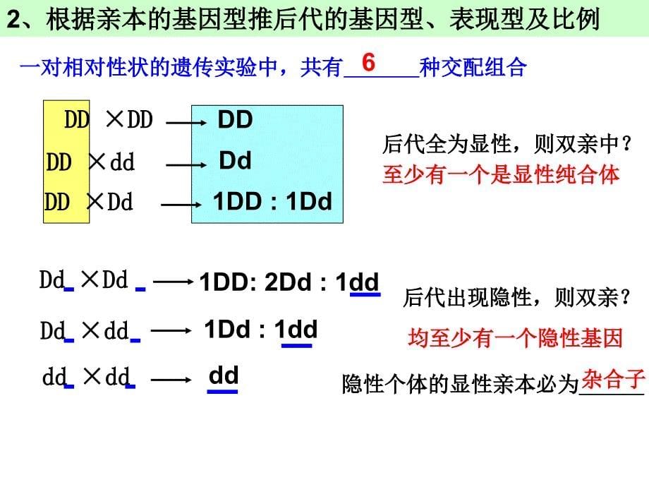 分离定律的应用_第5页