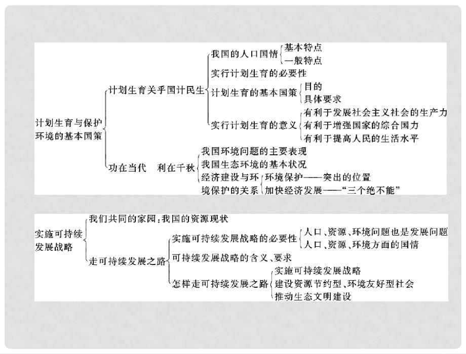 九年级政治 第二单元 第四课 第1课时 了解基本国策与发展战略配套课件 人教新课标版_第3页