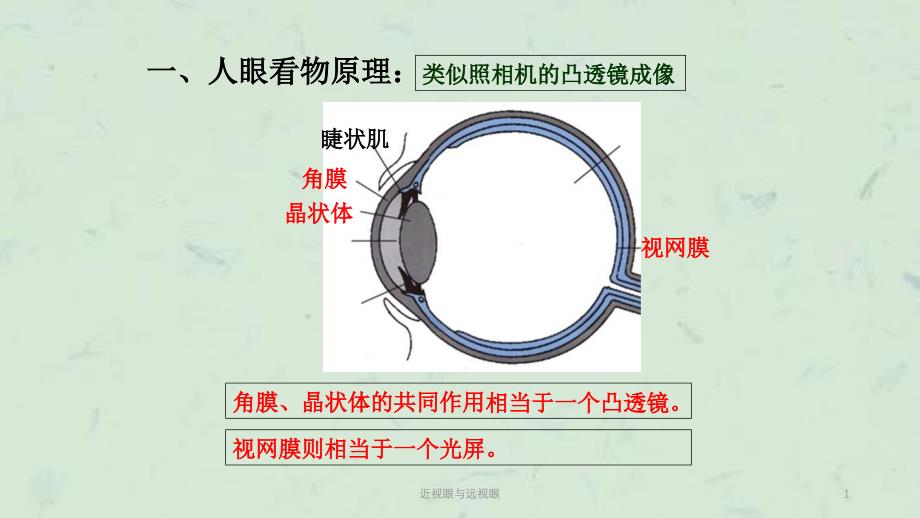 近视眼与远视眼课件_第1页