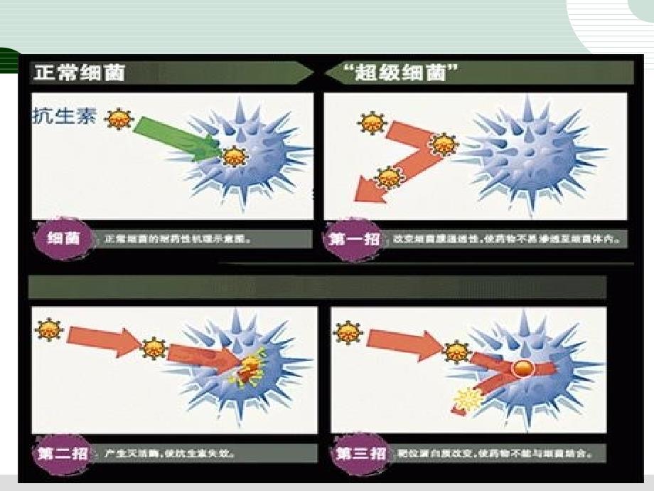 多重耐药菌预防与控制课件_第3页