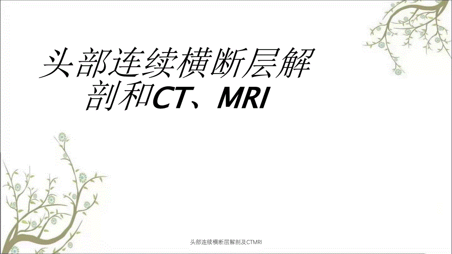 头部连续横断层解剖及CTMRI_第1页