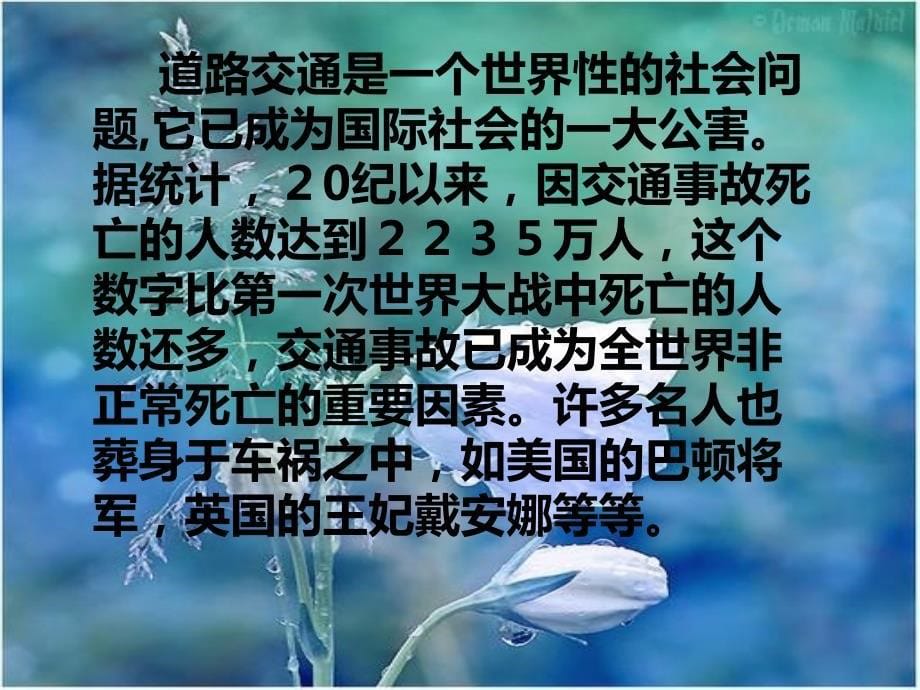 安全在我心中主题班会_第5页