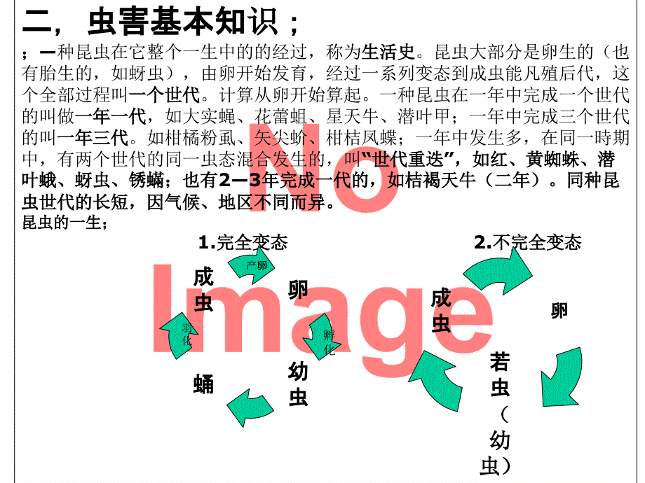 防寒防冻与冬季保叶_第4页