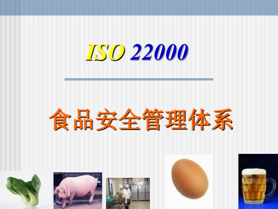 ISO22000标准培训.ppt_第1页