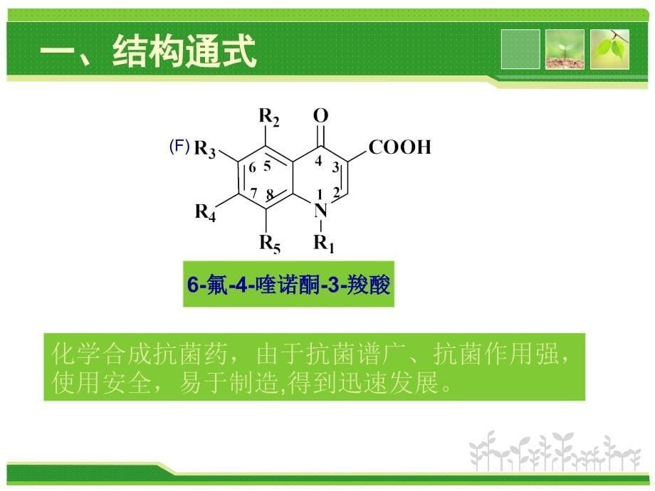 临床药物治疗学：第五章 抗菌药物与抗生素类药物的分析_第5页