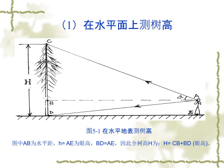 第九章、林木测量与计算.ppt_第4页