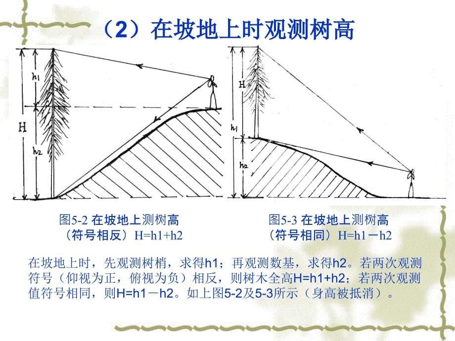 第九章、林木测量与计算.ppt_第5页