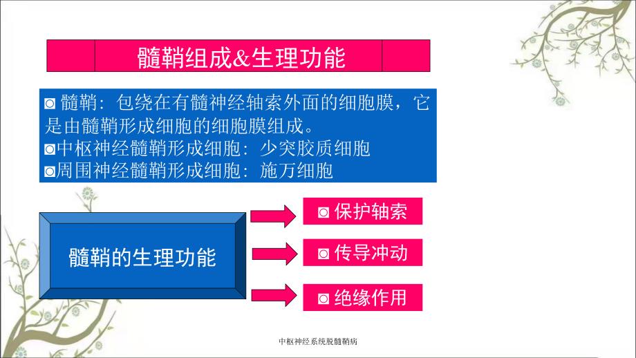 中枢神经系统脱髓鞘病_第3页