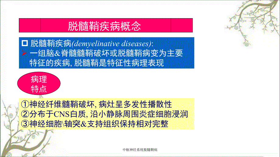 中枢神经系统脱髓鞘病_第4页