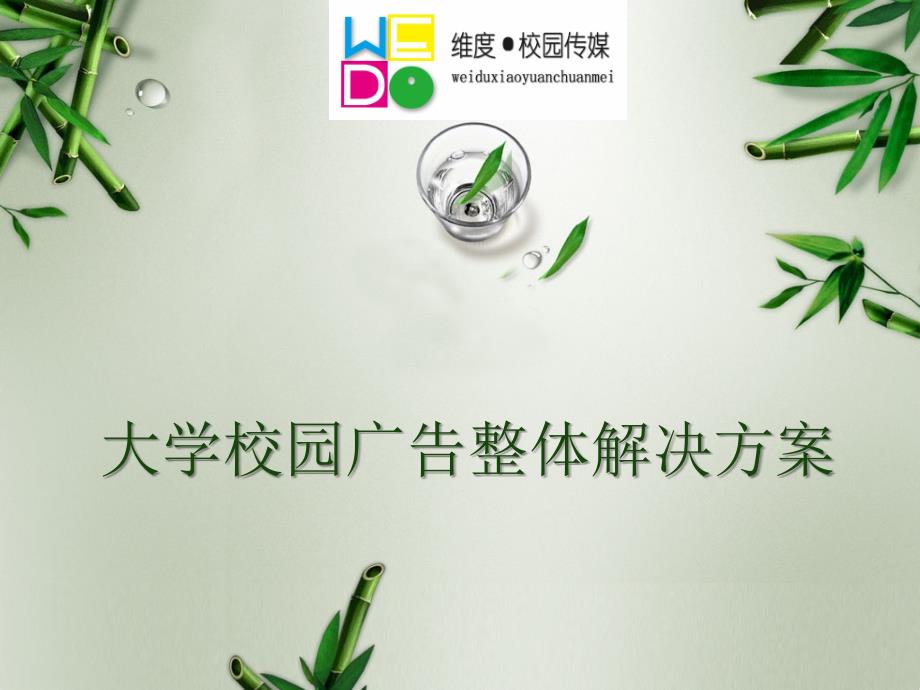 维度传媒大学校园广告整体解决方案_第1页