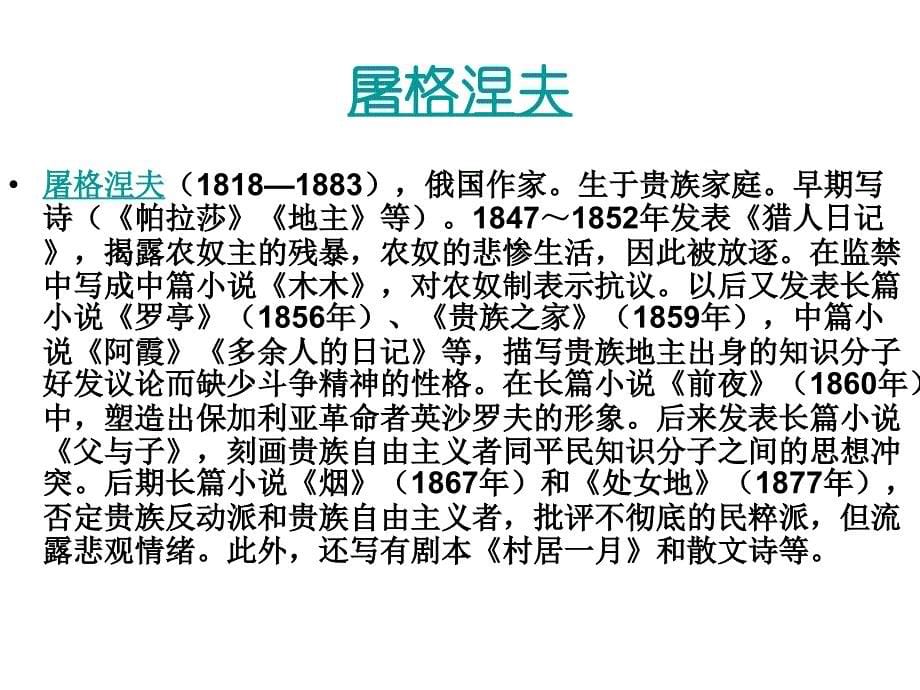 福楼拜家的星期天_第5页