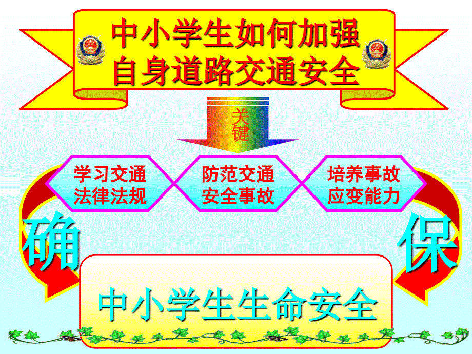 小学生交通安全宣传讲座课件_第3页