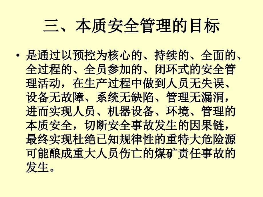 绩效考核_煤矿本质安全管理体系安全评价及考核运行_第5页