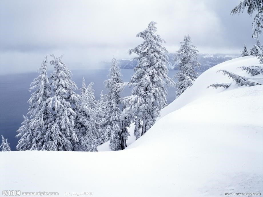 好《雪地里的小画家》课件_第5页