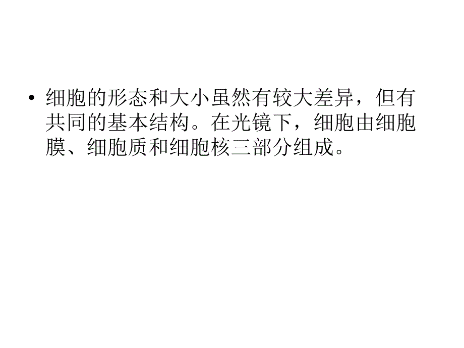 人体结构.ppt_第3页