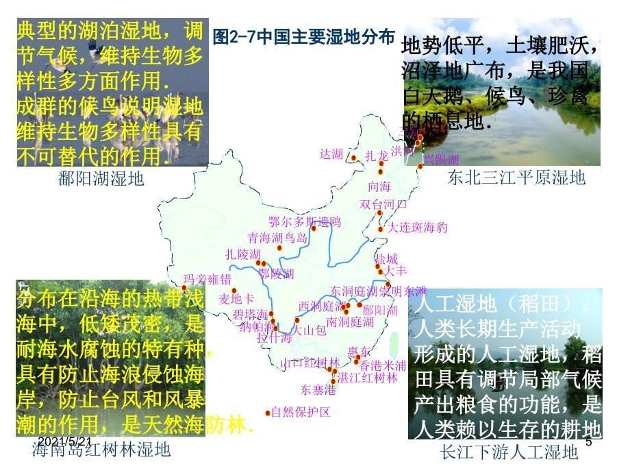 第二节湿地资源的开发与保护PPT课件_第5页