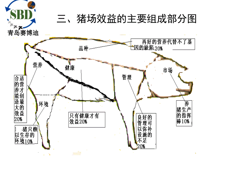 品种对猪场效益的影响_第4页