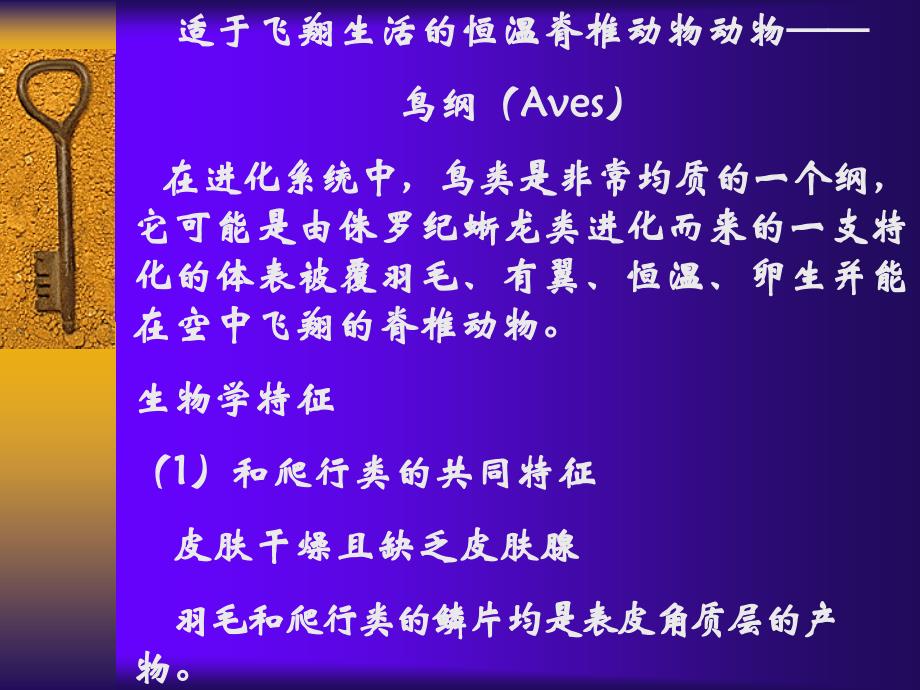 适于飞翔生活的恒温脊椎动物动物——鸟纲Aves在进化_第1页