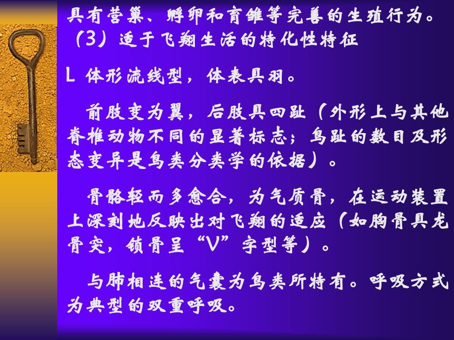 适于飞翔生活的恒温脊椎动物动物——鸟纲Aves在进化_第3页