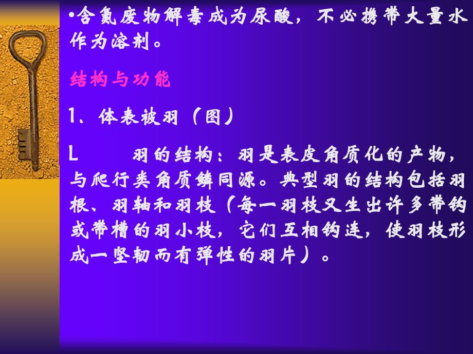 适于飞翔生活的恒温脊椎动物动物——鸟纲Aves在进化_第4页