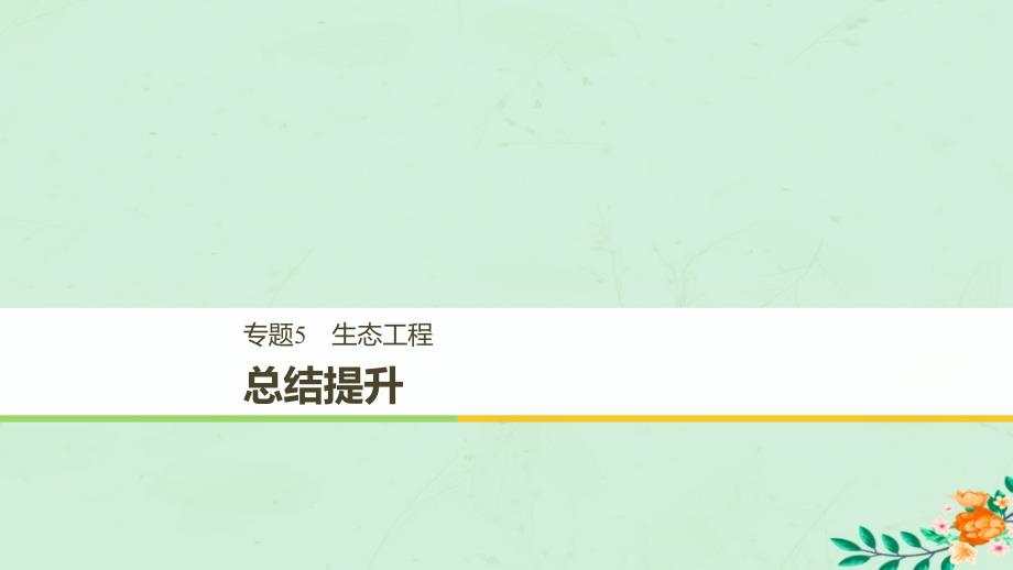 2018-2019学年高中生物 专题5 生态工程总结提升课件 新人教版选修3_第1页