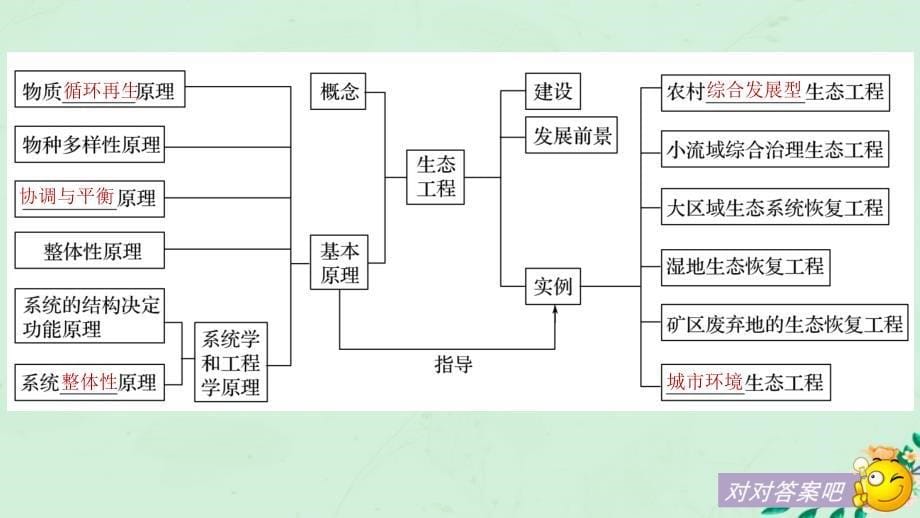 2018-2019学年高中生物 专题5 生态工程总结提升课件 新人教版选修3_第5页