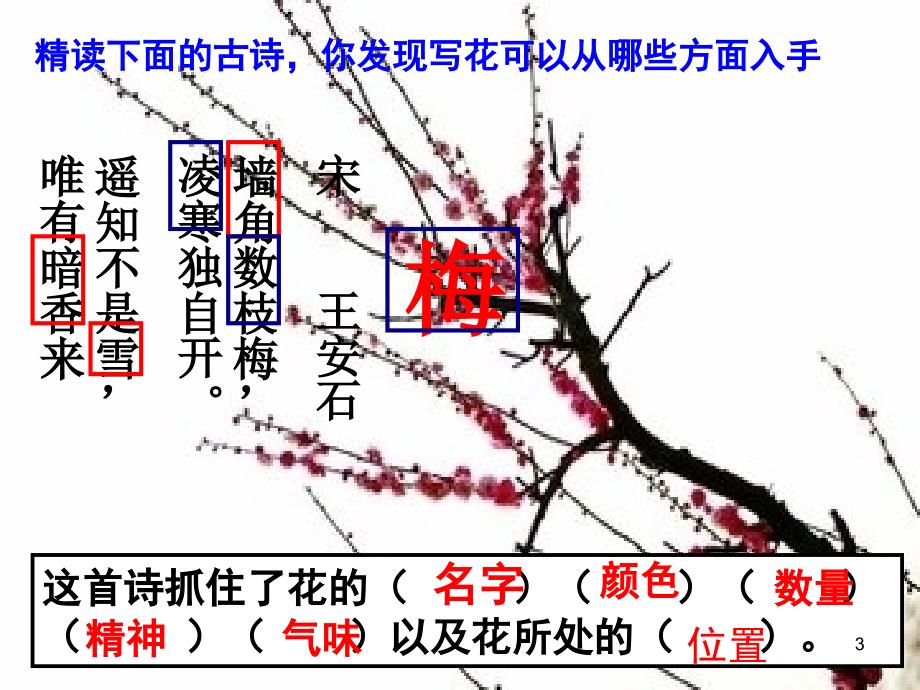 如何描写花PPT精品文档_第3页