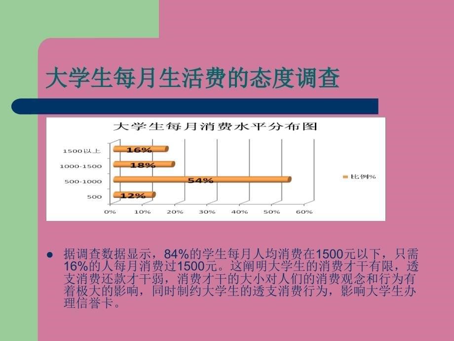 银行牡丹学生卡调查报告ppt课件_第5页