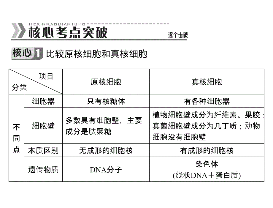 高三生物复习课件：专题一第1讲细胞的物质基础.ppt_第4页