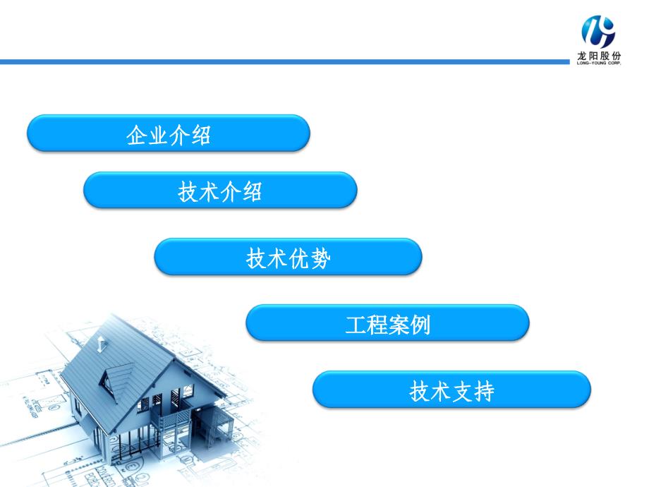 应用龙阳伟业FS101FS102地下刚性防水技术_第2页