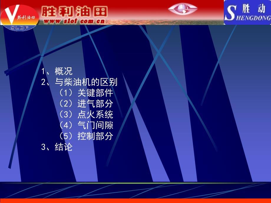 《天然气发电机组》PPT课件.ppt_第2页