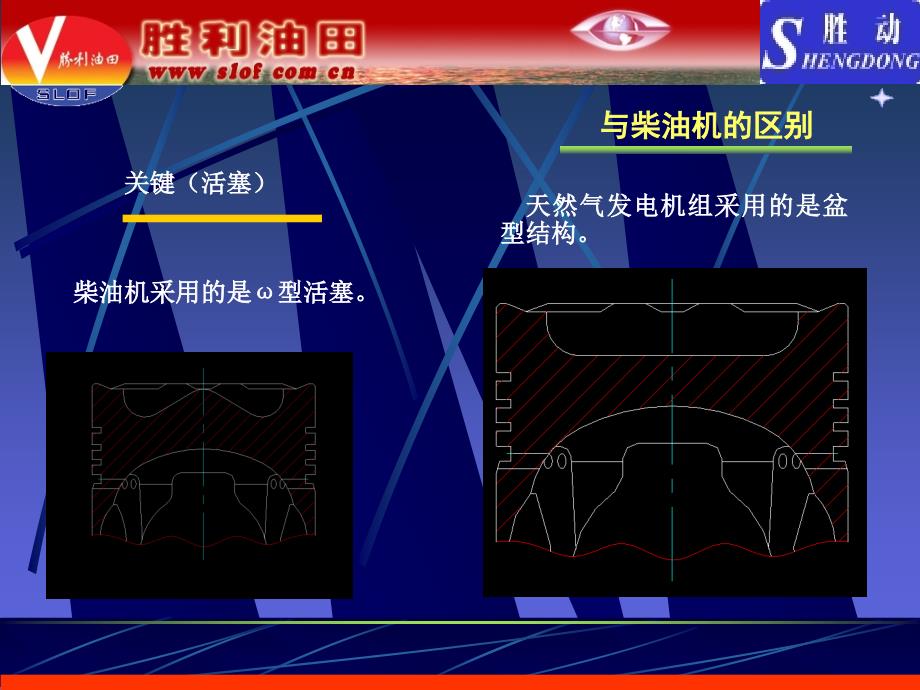 《天然气发电机组》PPT课件.ppt_第4页