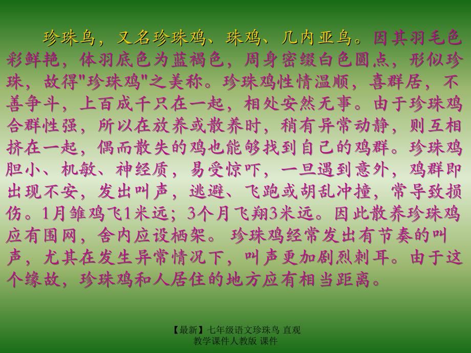 最新七年级语文珍珠鸟直观教学课件人教版课件_第4页