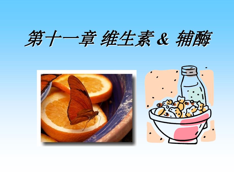 生物化学：第十一章 维生素 &amp; 辅酶_第1页