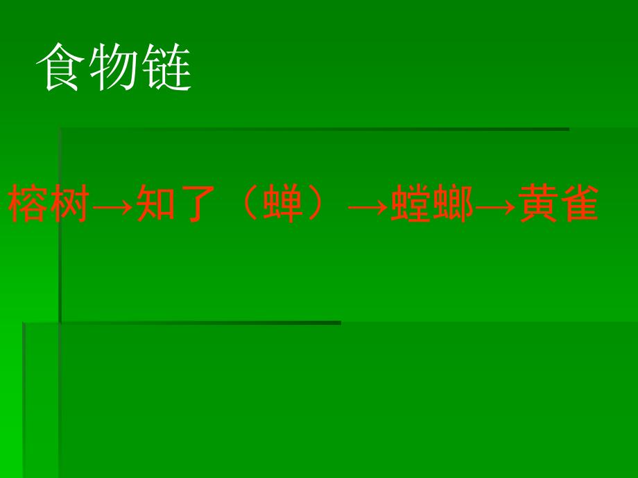 小池塘大世界课件冀教版六年级下册科学课件_第2页