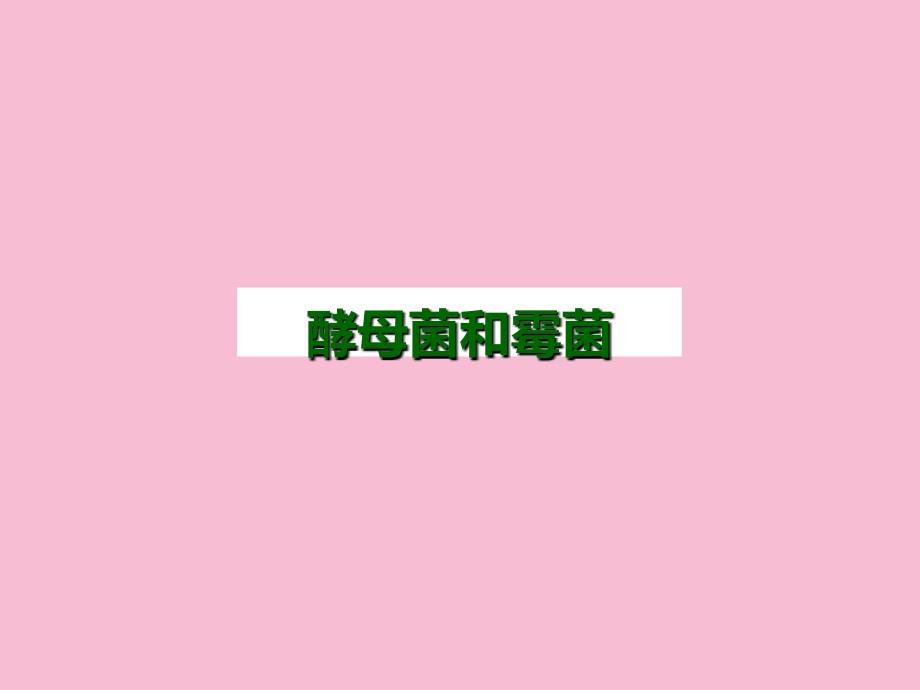 第一节酵母菌和霉菌3ppt课件_第1页
