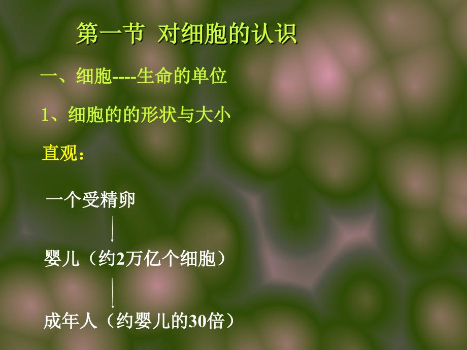 第二章Cell细胞文档资料_第1页