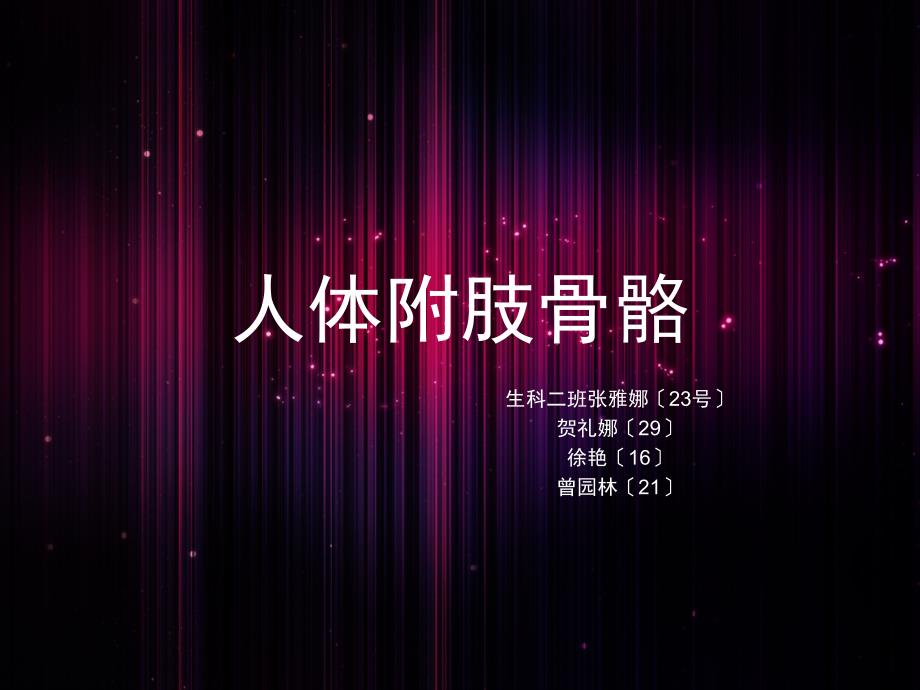 人体附肢骨骼PPT课件_第1页