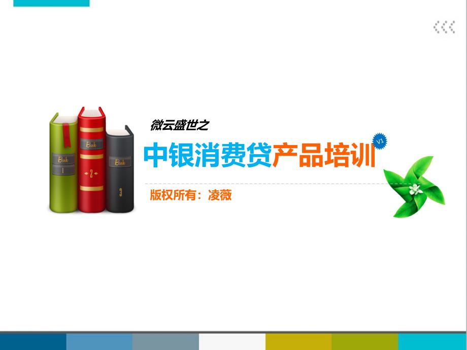 中银产品培训——薇.ppt_第1页