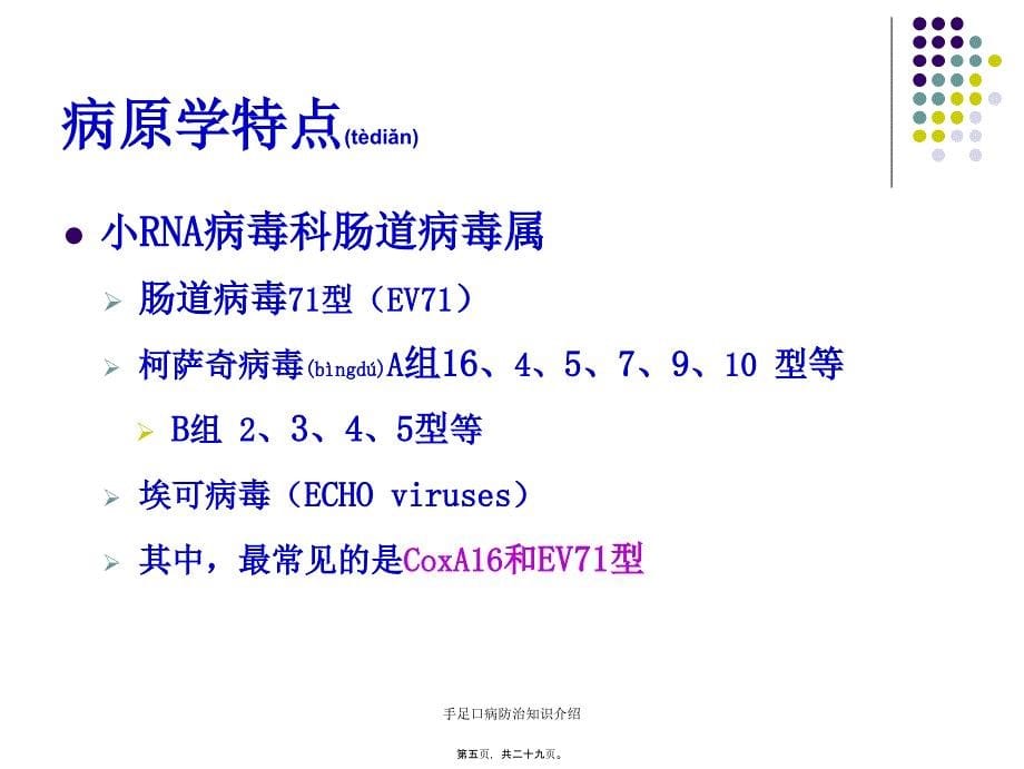 手足口病防治知识介绍课件_第5页