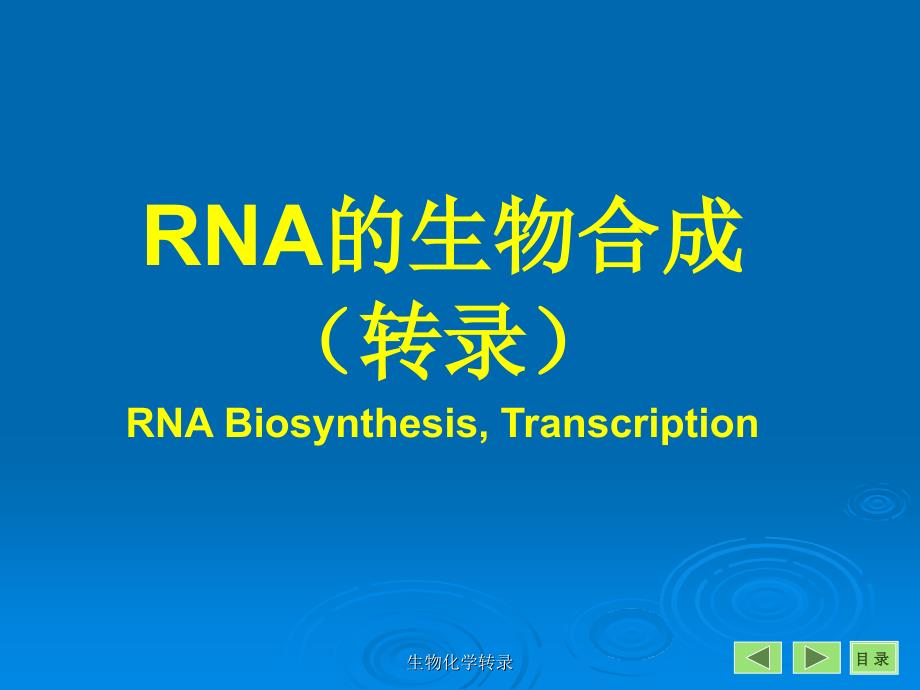 生物化学转录课件_第1页